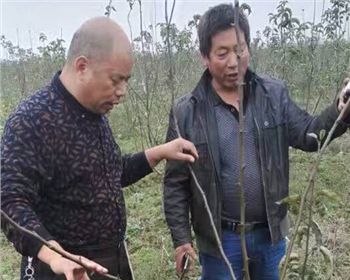 湖北客戶技術(shù)跟蹤指導